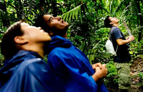 アクティビティ Land-Based Acitivities 13 rainforest_indonesiatravels